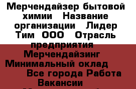 Мерчендайзер бытовой химии › Название организации ­ Лидер Тим, ООО › Отрасль предприятия ­ Мерчендайзинг › Минимальный оклад ­ 24 800 - Все города Работа » Вакансии   . Мурманская обл.,Оленегорск г.